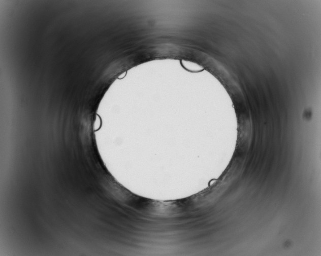 X0000103400333200810241016