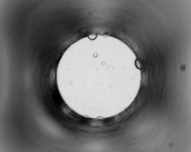 X0000103400335200810241016