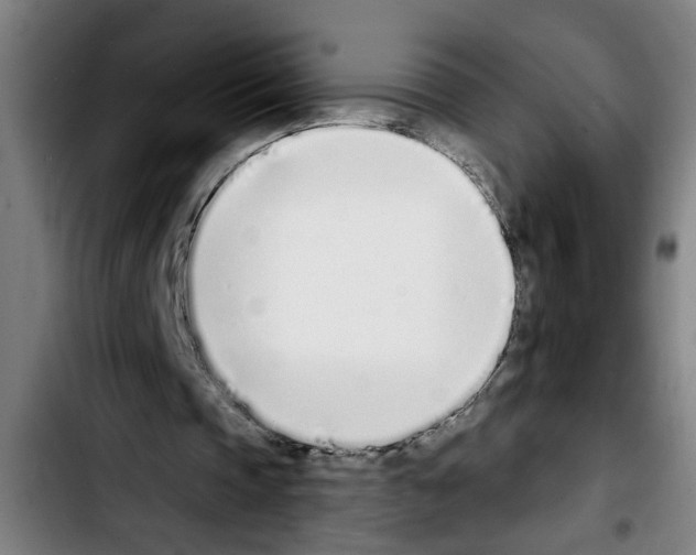 X0000103400337200810241016