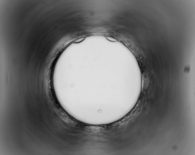 X0000103400339200810241016