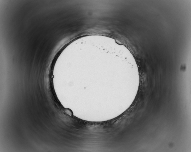 X0000103400340200810241016