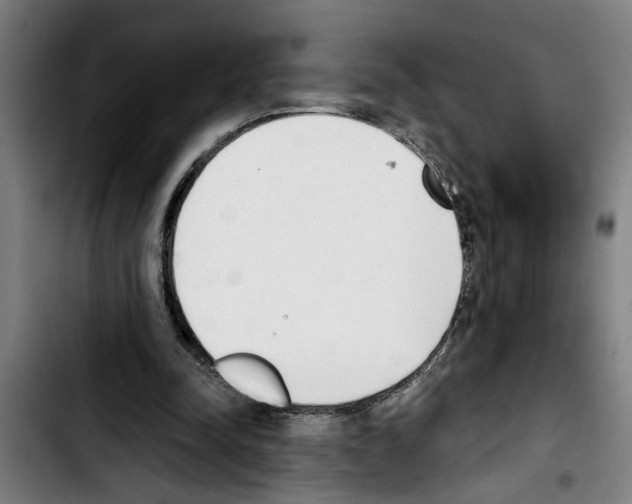 X0000103400342200810241016