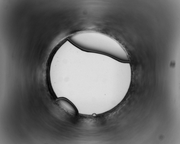 X0000103400344200810241016