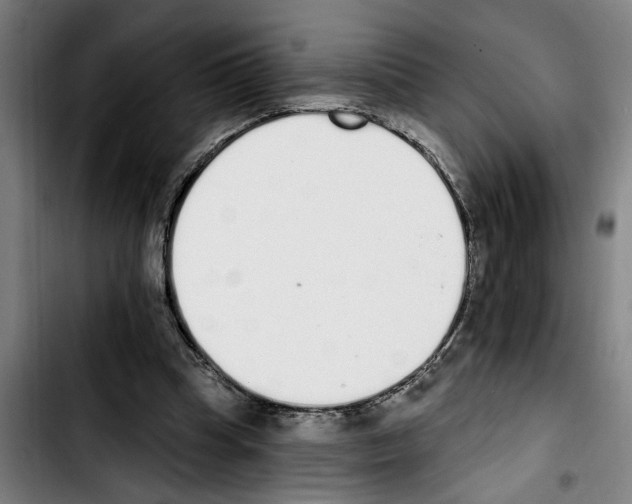 X0000103400345200810241016