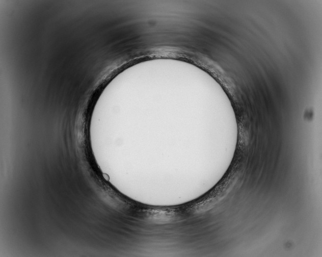 X0000103400347200810241016