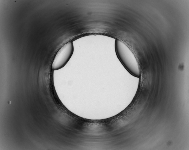 X0000103400348200810241016