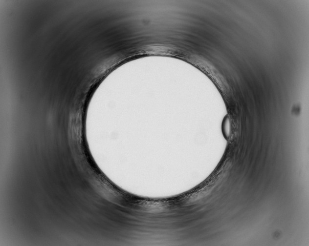 X0000103400349200810241016