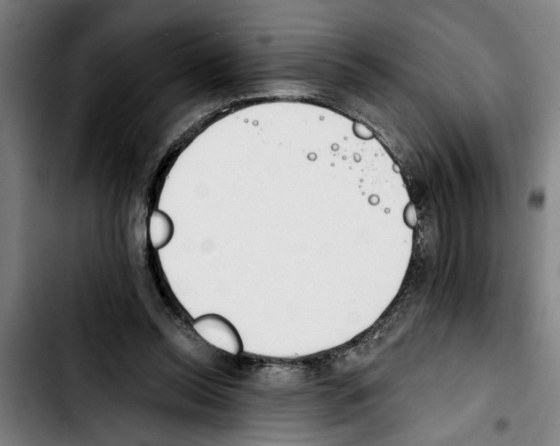 X0000103400350200810241016