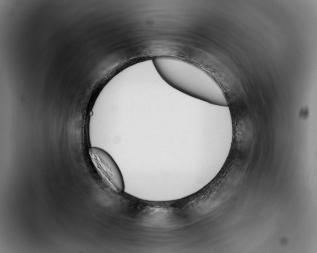 X0000103400352200810241016