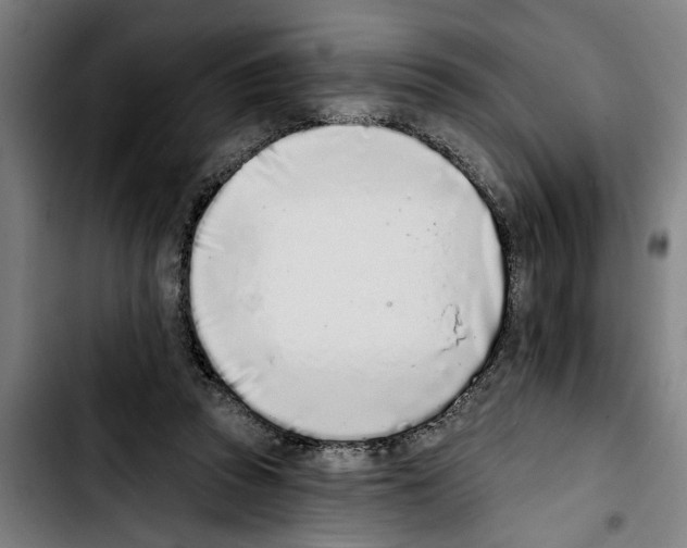 X0000103400353200810241016