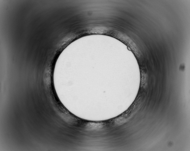 X0000103400354200810241016