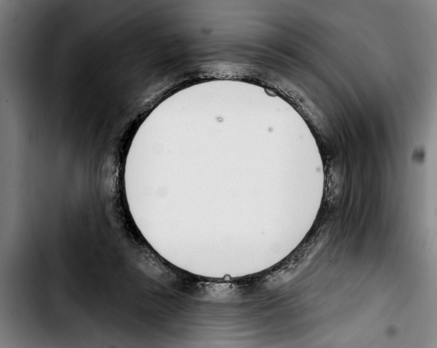 X0000103400355200810241016