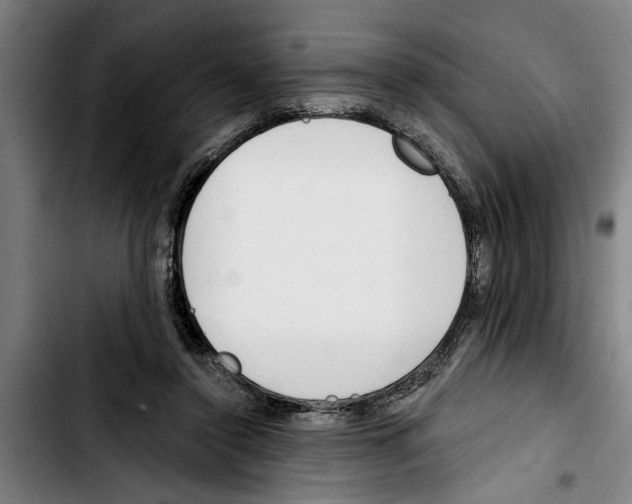 X0000103400356200810241016