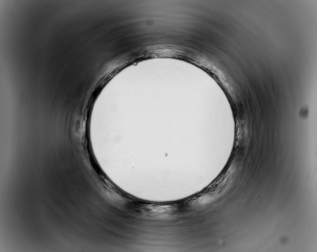 X0000103400357200810241016