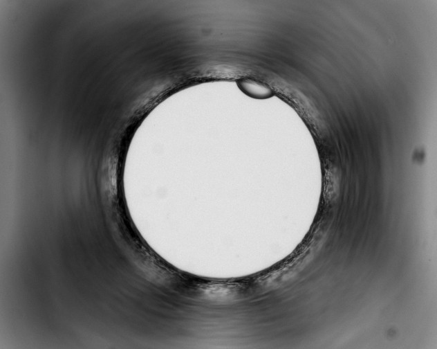 X0000103400358200810241016