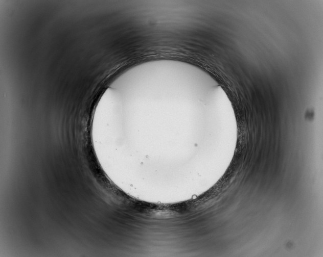 X0000103400360200810241016