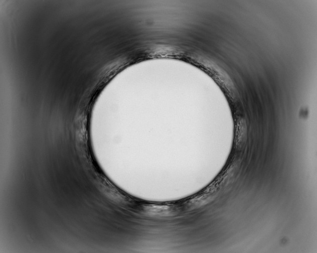 X0000103400361200810241016