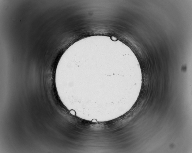 X0000103400362200810241016