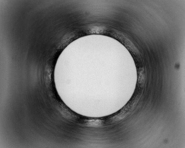 X0000103400363200810241016