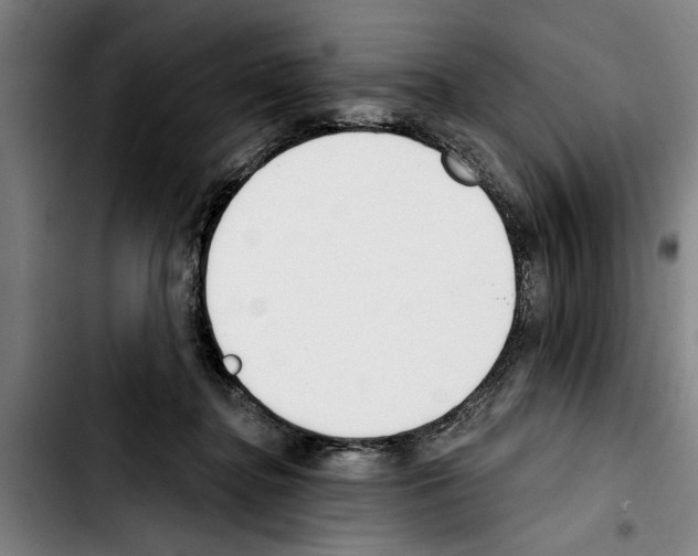 X0000103400364200810241016