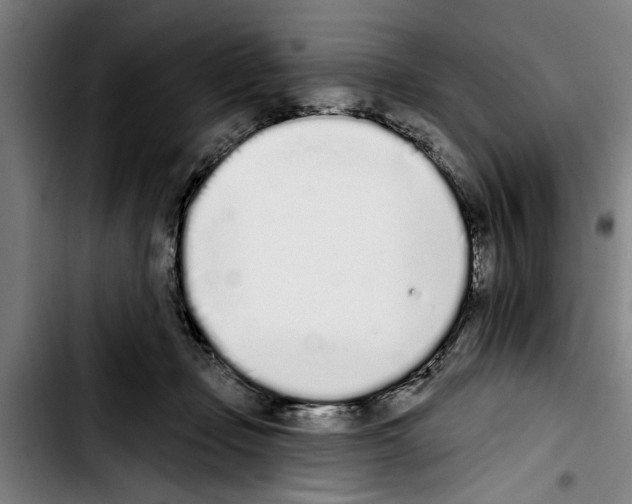 X0000103400365200810241016