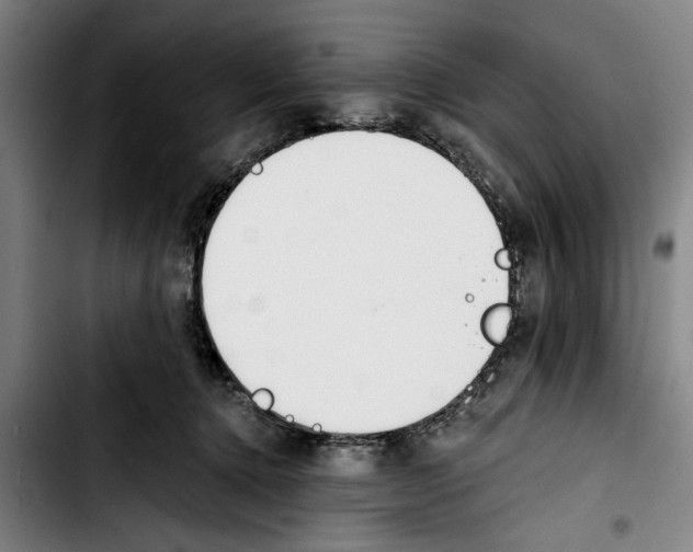 X0000103400368200810241016