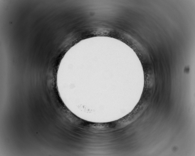 X0000103400370200810241016