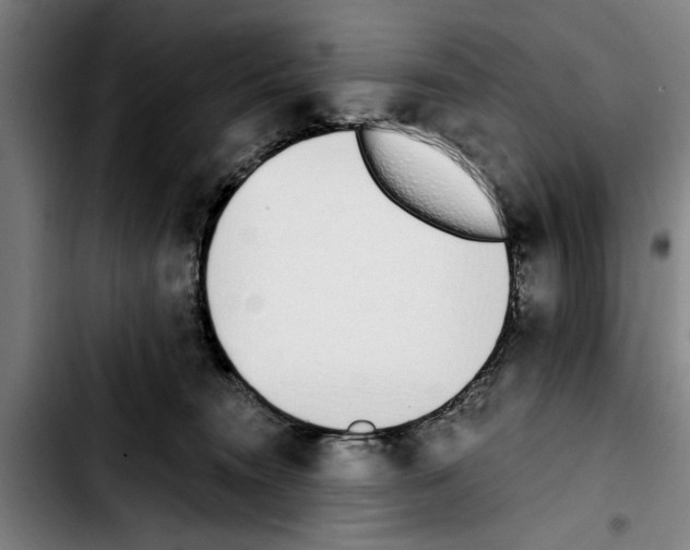 X0000103400372200810241016