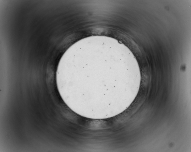 X0000103400375200810241016