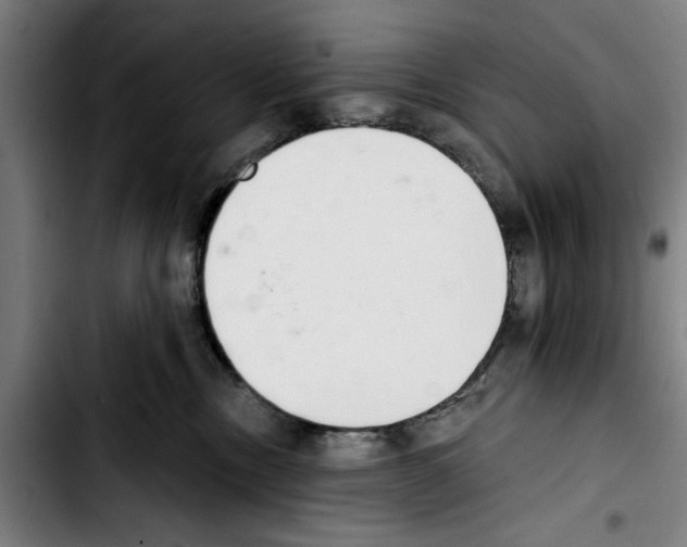 X0000103400378200810241016