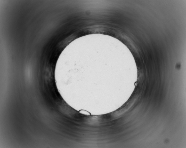 X0000103400382200810241016