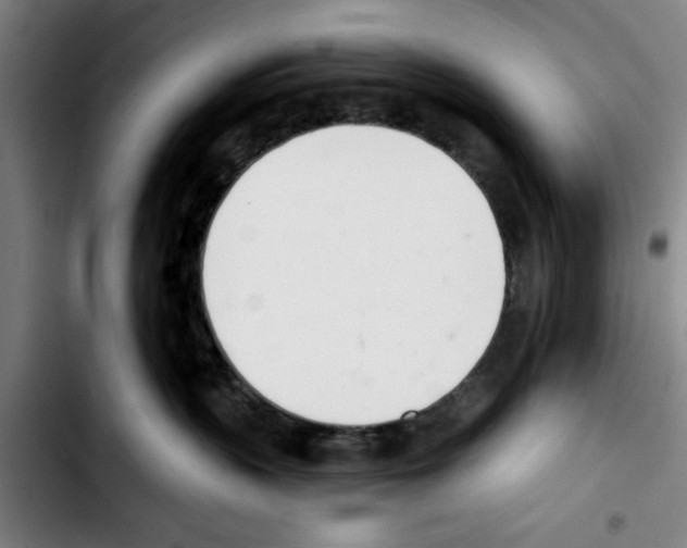 X0000103400383200810241016