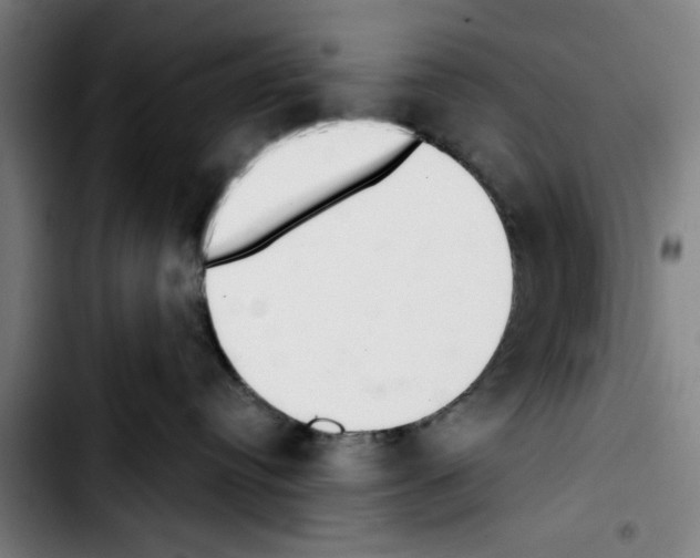 X0000103400384200810241016