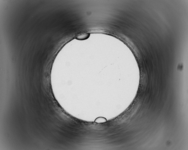 X0000103400385200810241016