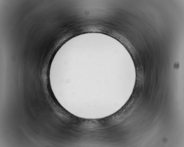 X0000103400386200810241016