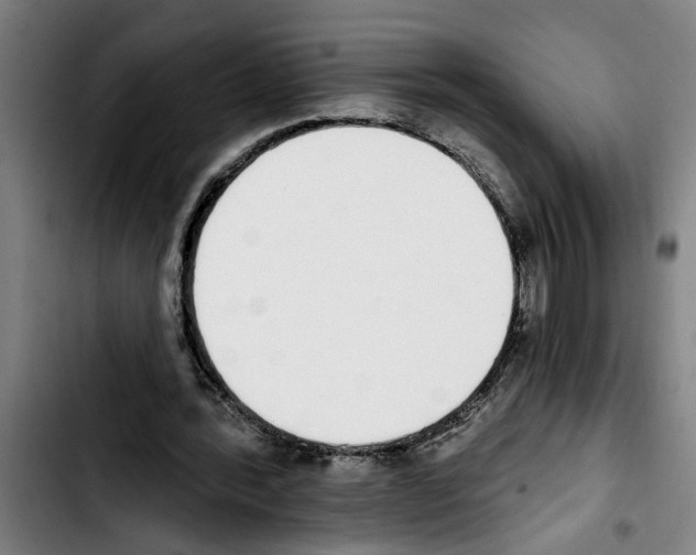 X0000103400388200810241015