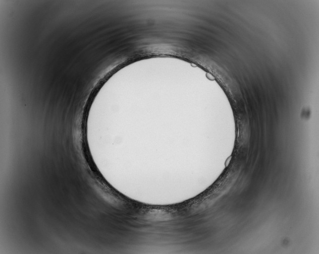 X0000103400390200810241015