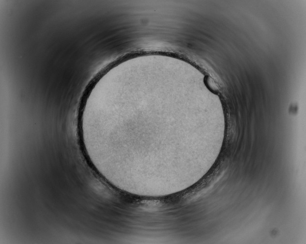 X0000103400391200810241015