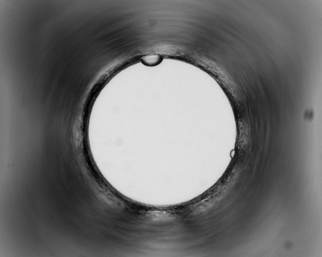 X0000103400392200810241015