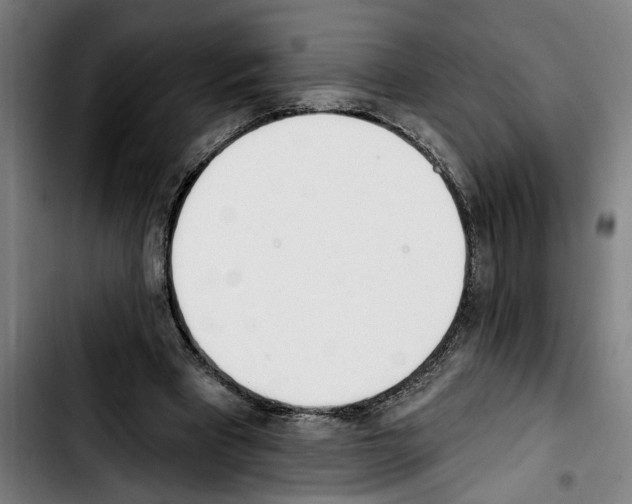 X0000103400393200810241015