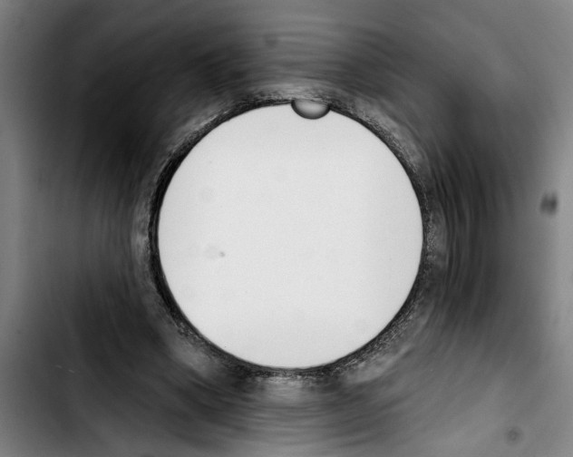 X0000103400394200810241015