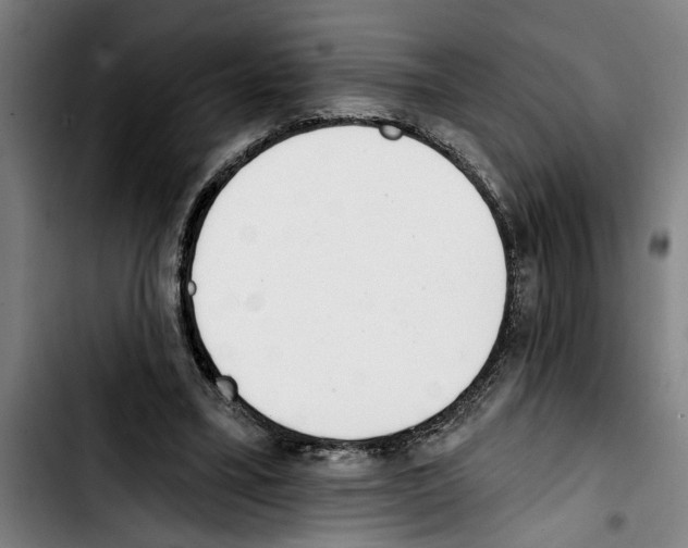 X0000103400395200810241015