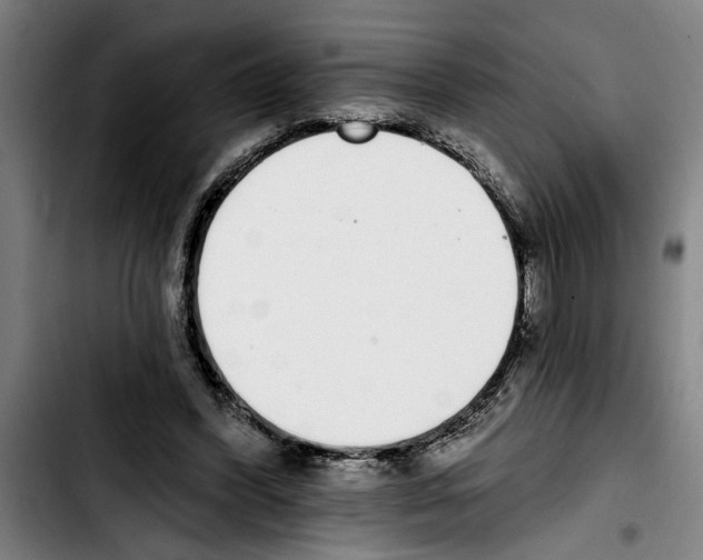 X0000103400396200810241015