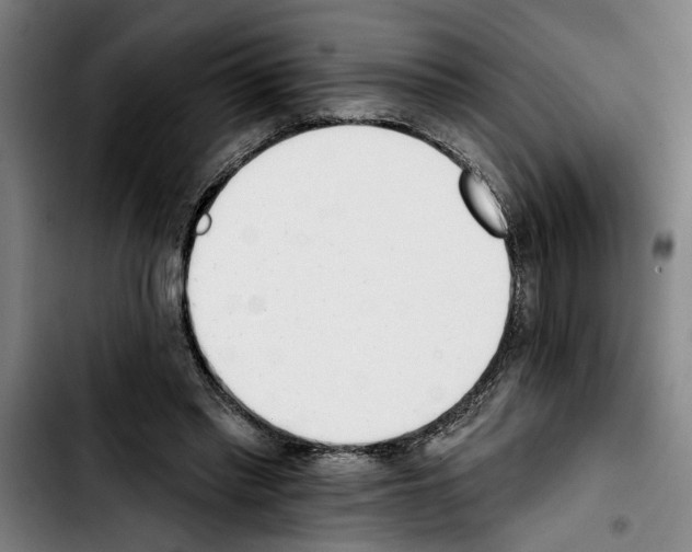 X0000103400397200810241015