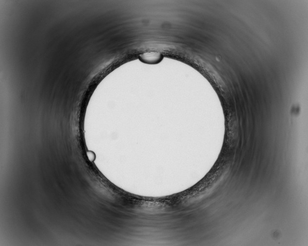 X0000103400399200810241015