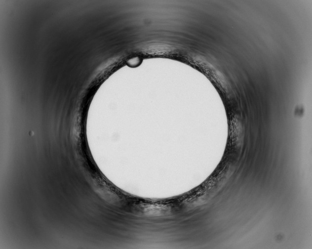 X0000103400400200810241015