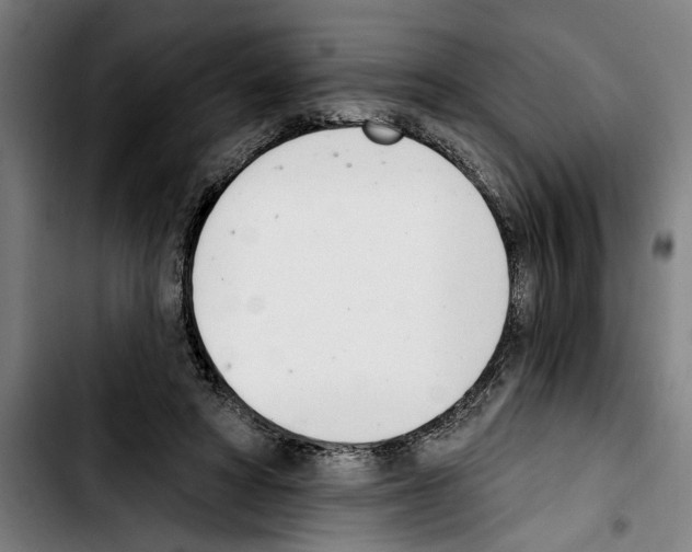 X0000103400402200810241015