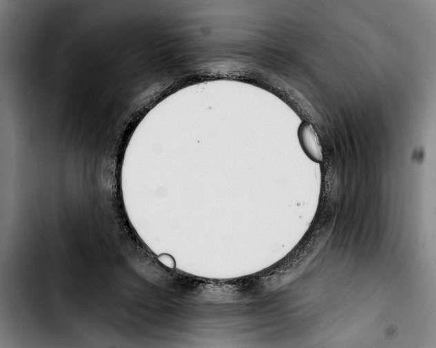 X0000103400403200810241015