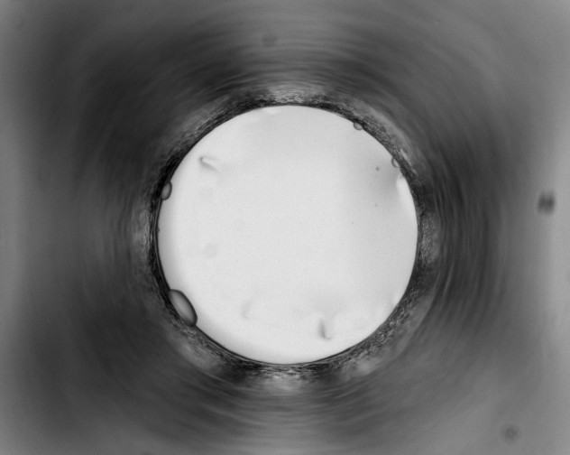 X0000103400405200810241015