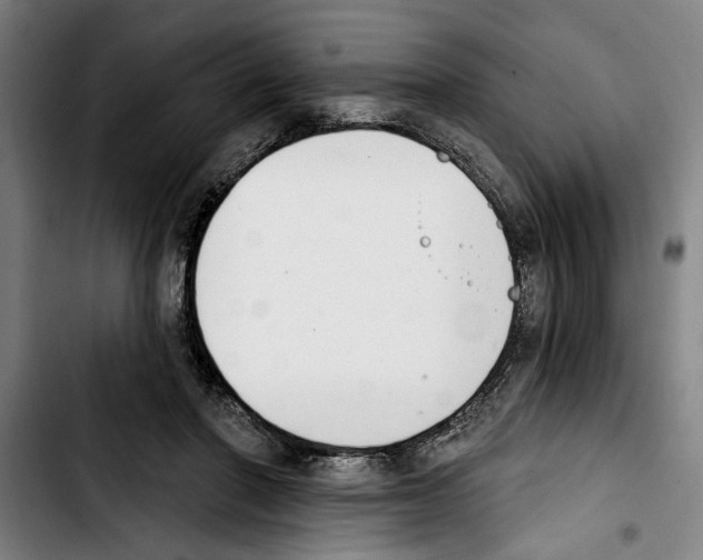 X0000103400406200810241015